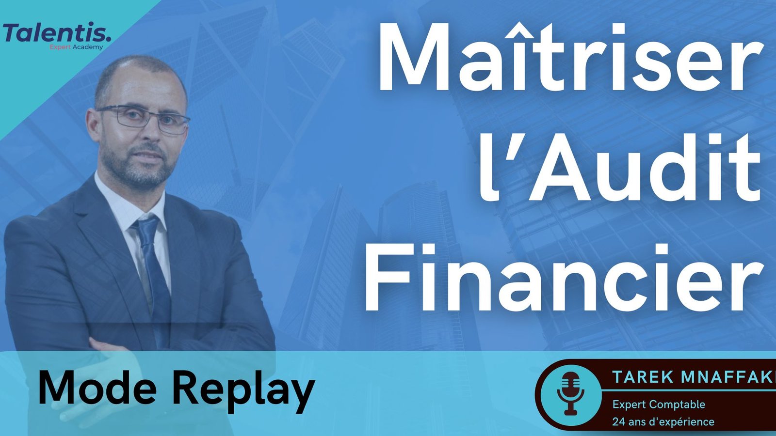 Maîtriser l&rsquo;Audit Financier